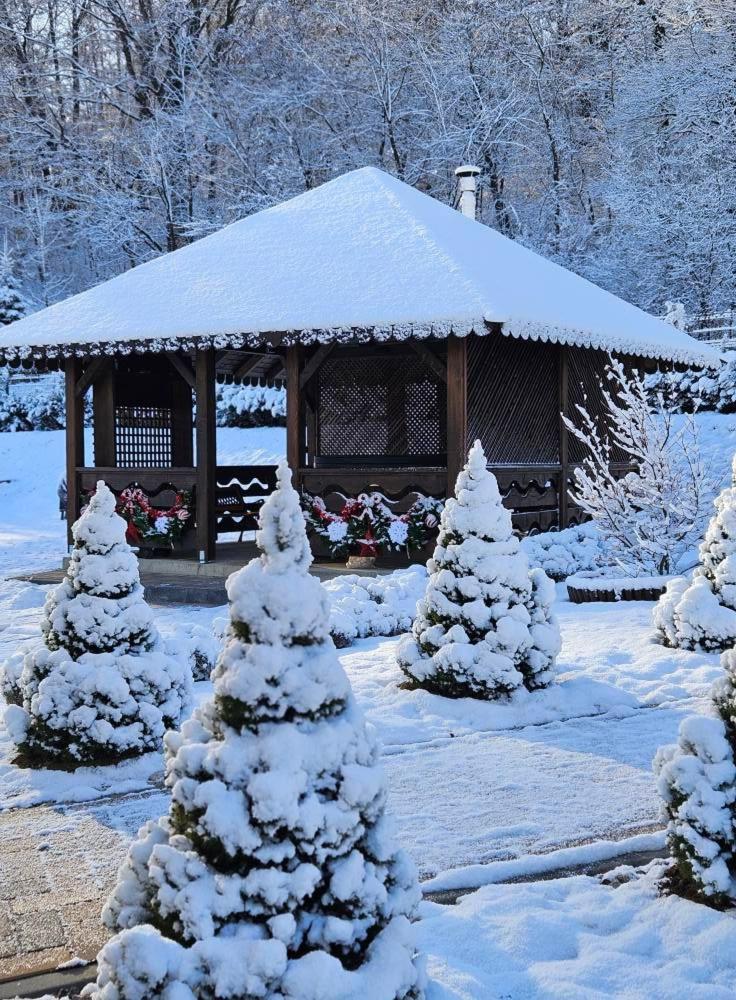 Pensiunea Izvorul Linistii Radaseni Exterior foto