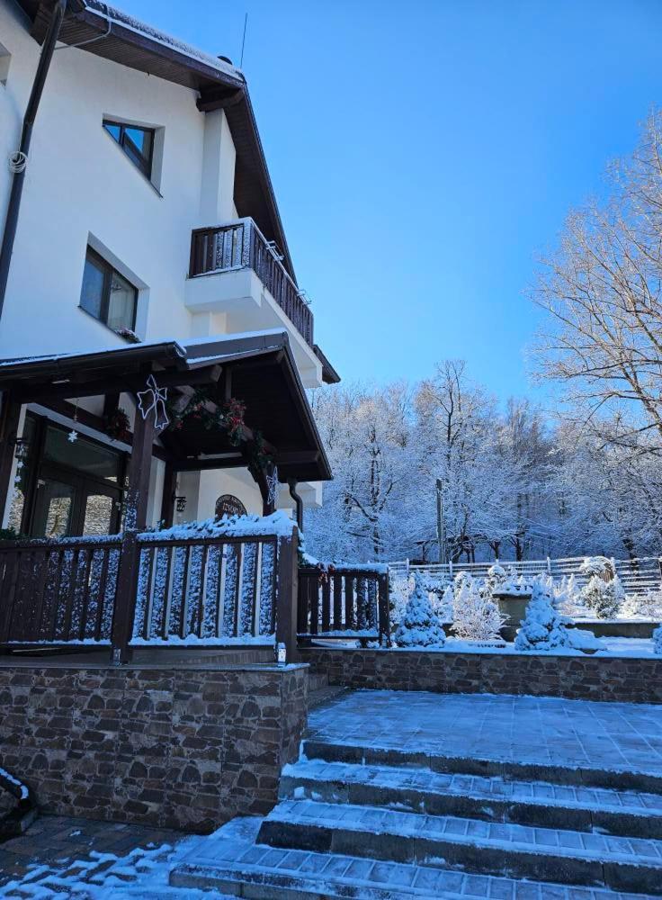Pensiunea Izvorul Linistii Radaseni Exterior foto